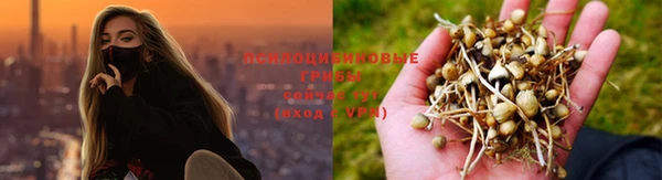 apvp Приозерск