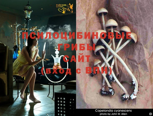 прущая мука Протвино