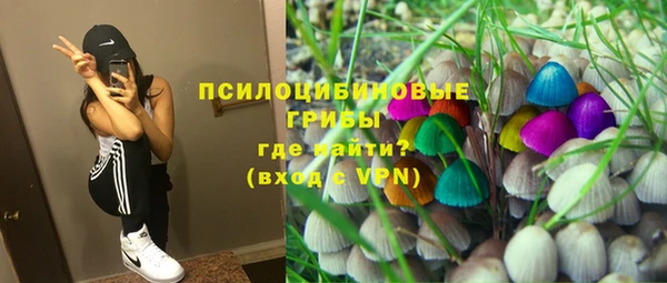 прущая мука Протвино