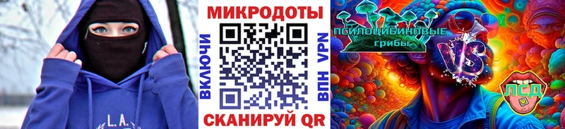 закладки  hydra маркетплейс  Галлюциногенные грибы GOLDEN TEACHER  Алейск 