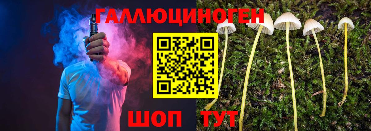 Алейск  Псилоцибиновые грибы Psilocybe  Галлюциногенные грибы MAGIC MUSHROOMS  Вход с VPN 
